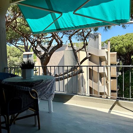 La Terrazza Del Pino Διαμέρισμα Torre del Lago Puccini Εξωτερικό φωτογραφία
