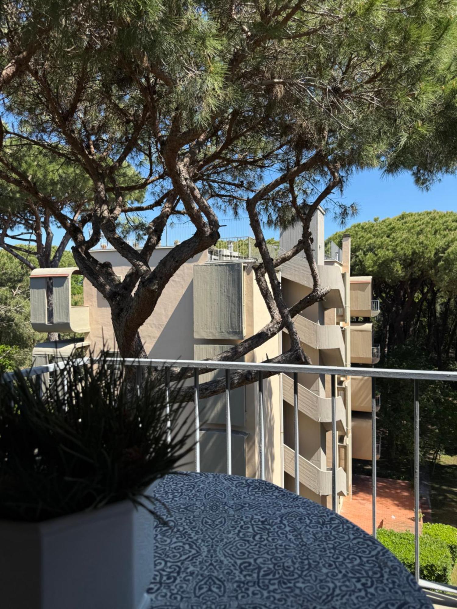 La Terrazza Del Pino Διαμέρισμα Torre del Lago Puccini Εξωτερικό φωτογραφία